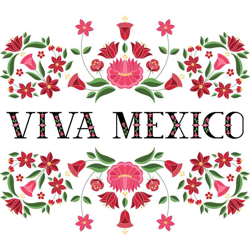 Viva Mexico (DTF Transfer)