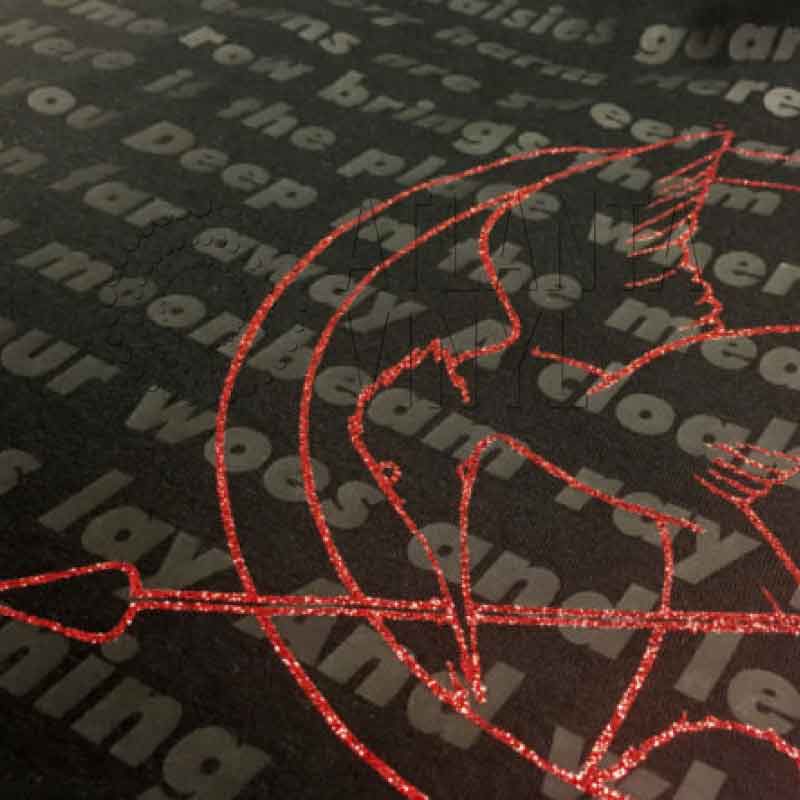 ThermoFlex® Plus Frosty Clear Heat Transfer Vinyl (HTV)