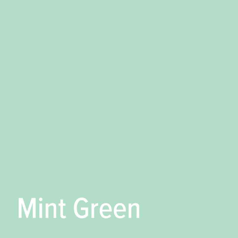 Mint Green StarCraft SD Matte Removable Vinyl [CLOSEOUT] - Atlanta