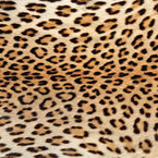 Real Leopard Patterned Adhesive Vinyl