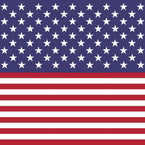Stars and Stripes Patterned Heat Transfer Vinyl (HTV)