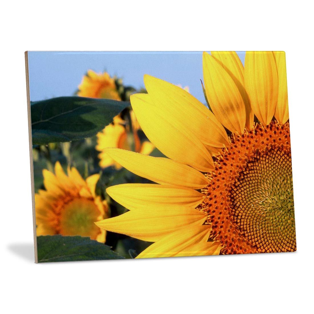 Ceramic Sublimation Photo Tile