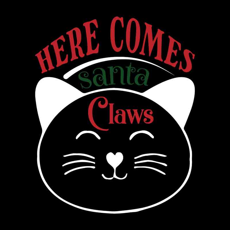 Pets Here Comes Santa Claws (DTF Transfer)