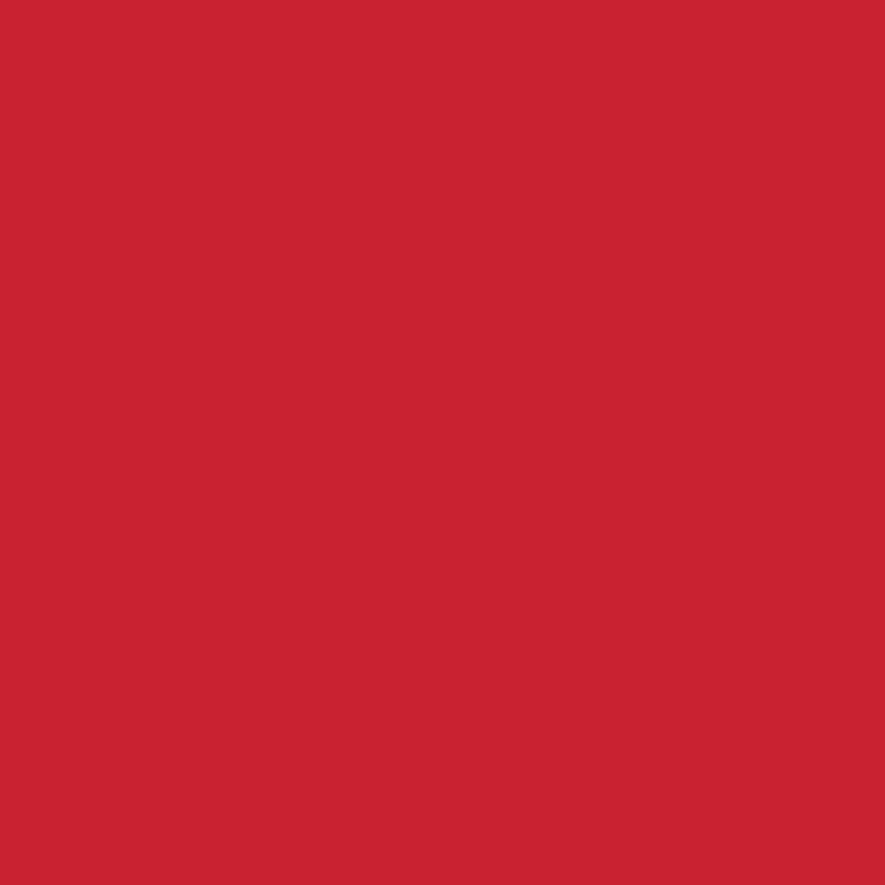 Bright Red Dollar HTV heat transfer vinyl roll