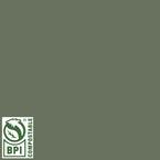 12" Moss Green - Siser PureHT™ Heat Transfer Vinyl