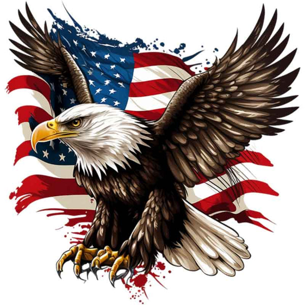 USA Flag Eagle (DTF Transfer)