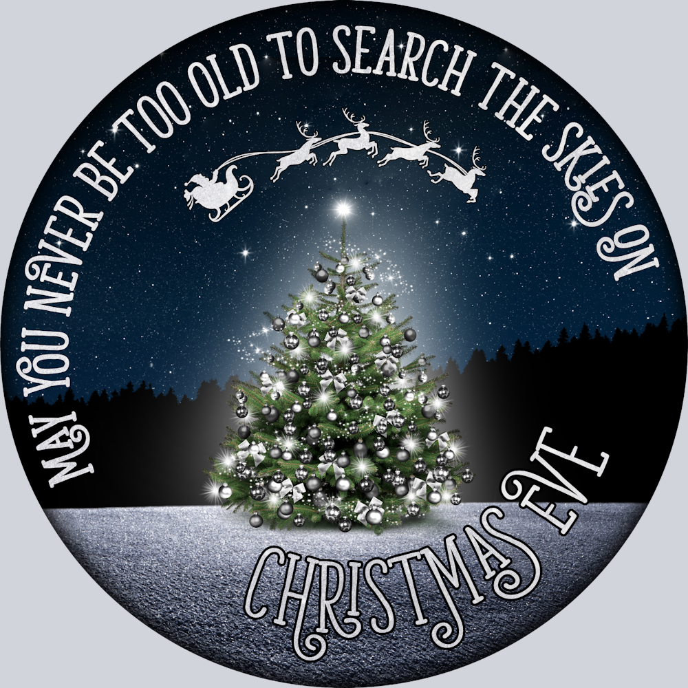 Search The Skies - STK05400