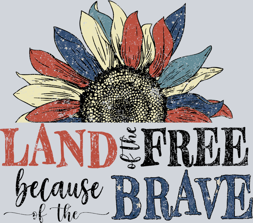 Land Of The Free Because Of The Brave 5 - STK03525