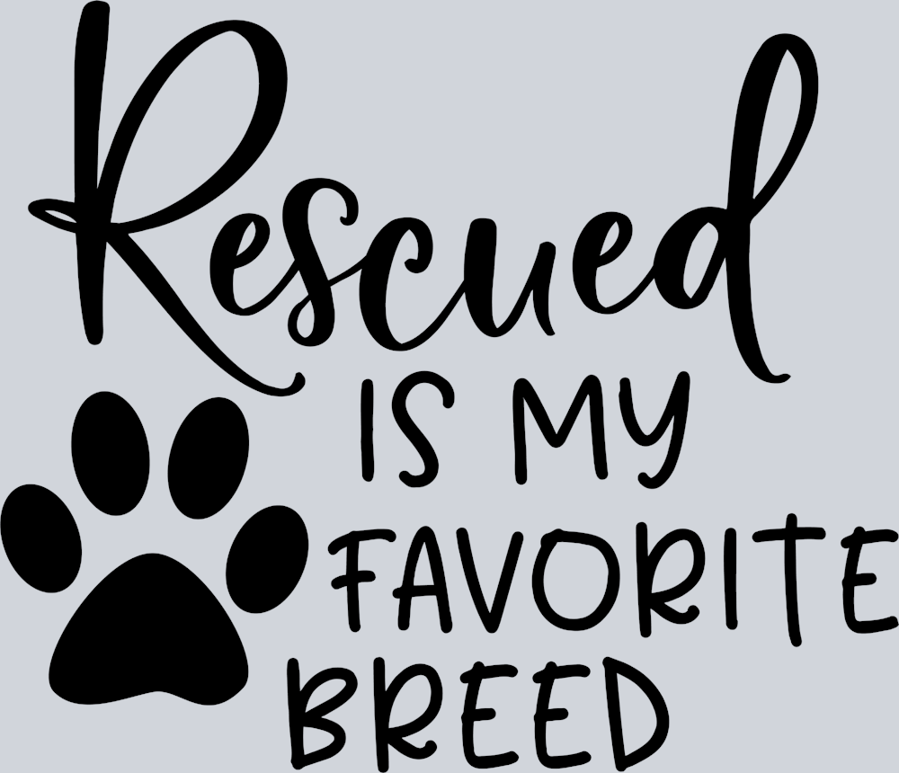 Pets Dog Rescue Breed - STK04844