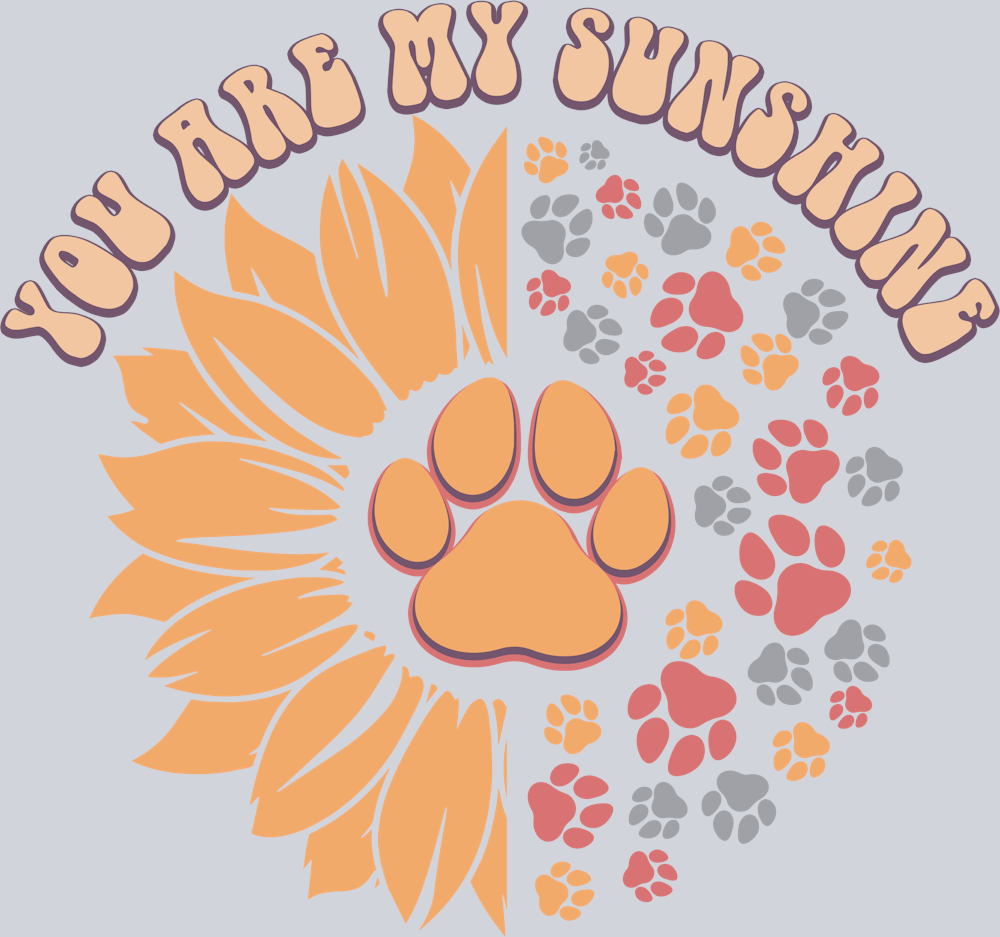 Pets Dog Paws Sunshine - STK04843