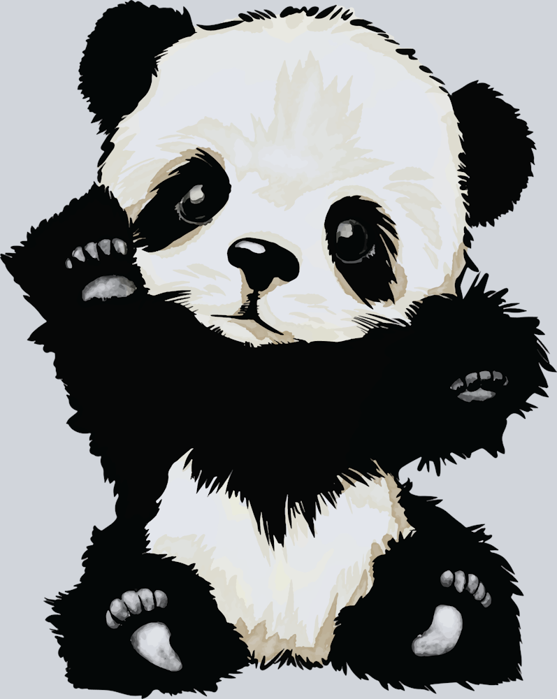 Cute Baby Panda - STK01515