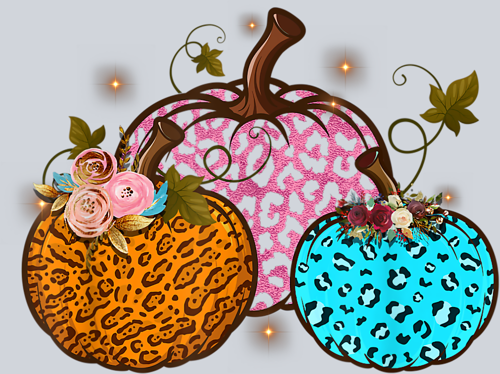 Pumpkins 2 - STK05100