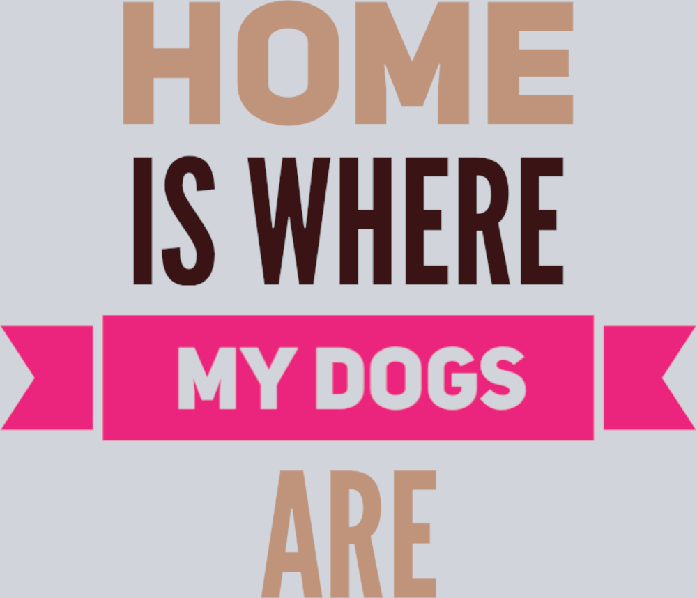 Pets Dogs Are Home - STK04846
