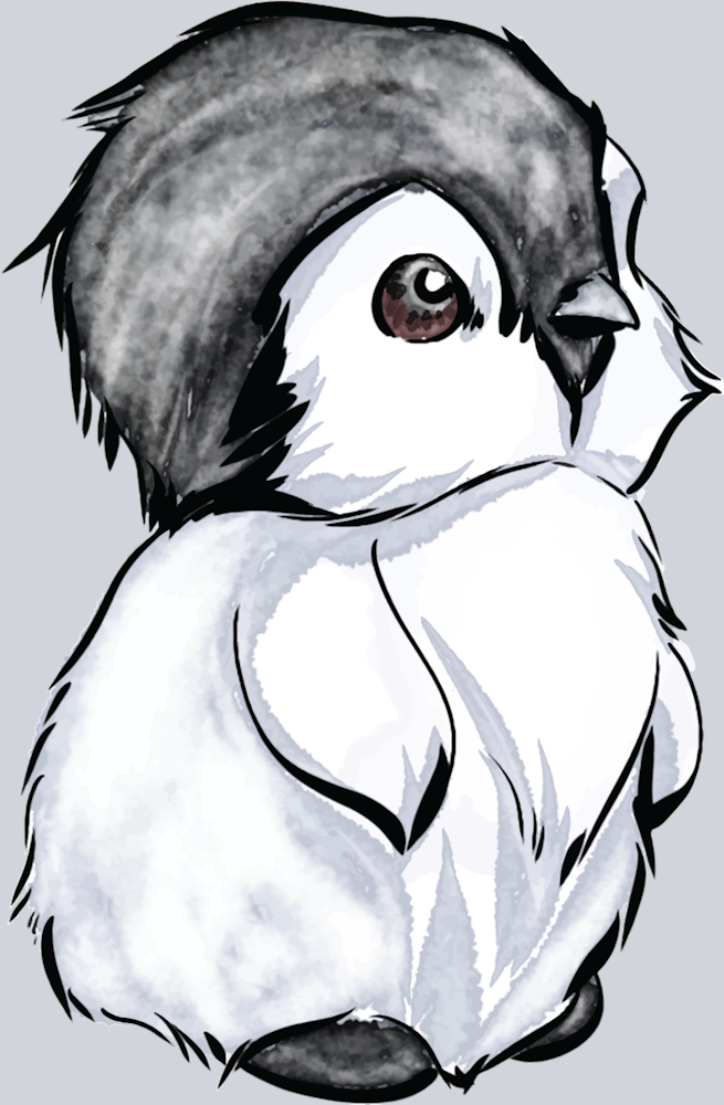 Cute Baby Penguin - STK01516