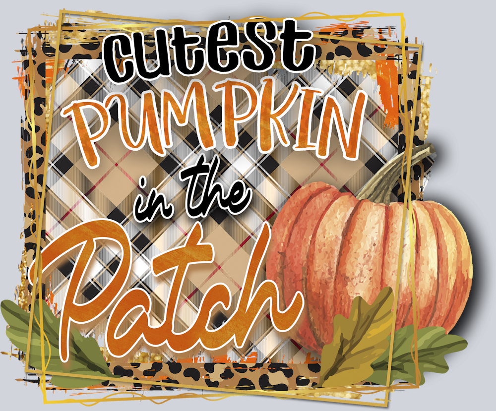 Cutest Pumpkin in the Patch 2 - STK07137