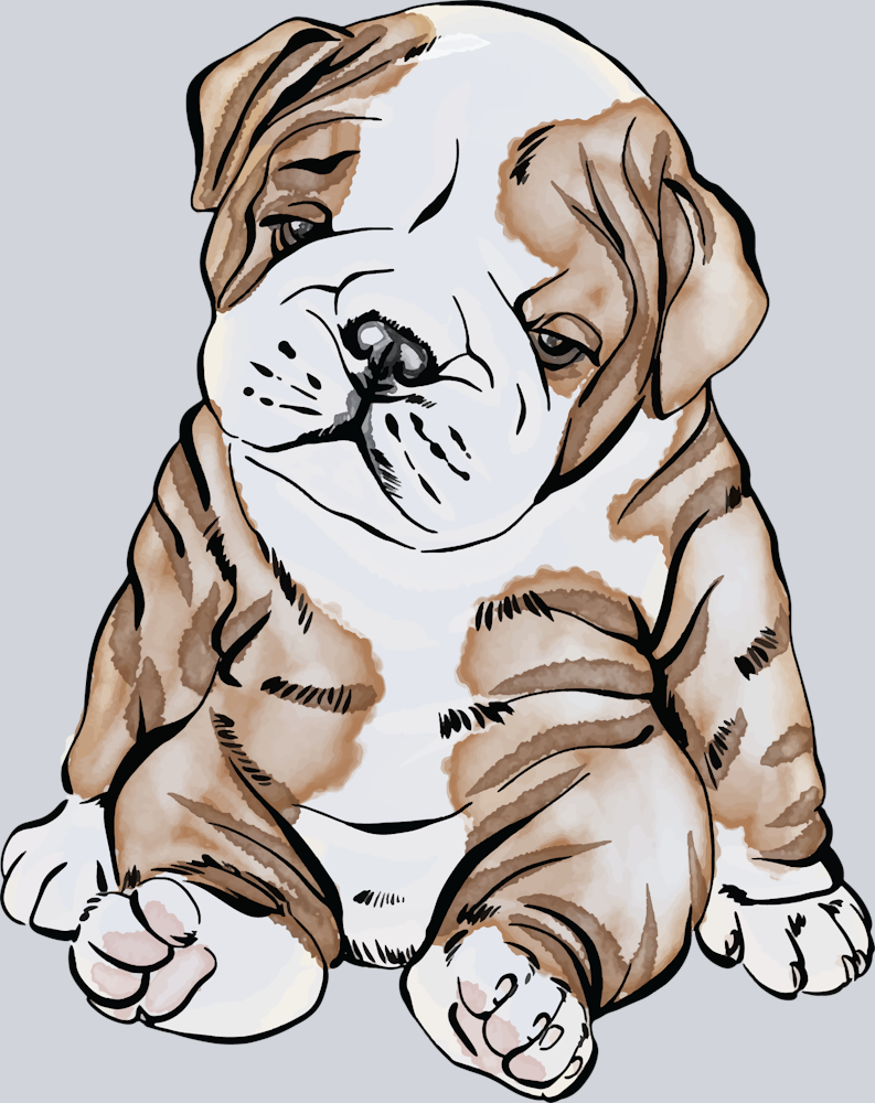 Cute Baby Puppy - STK01518