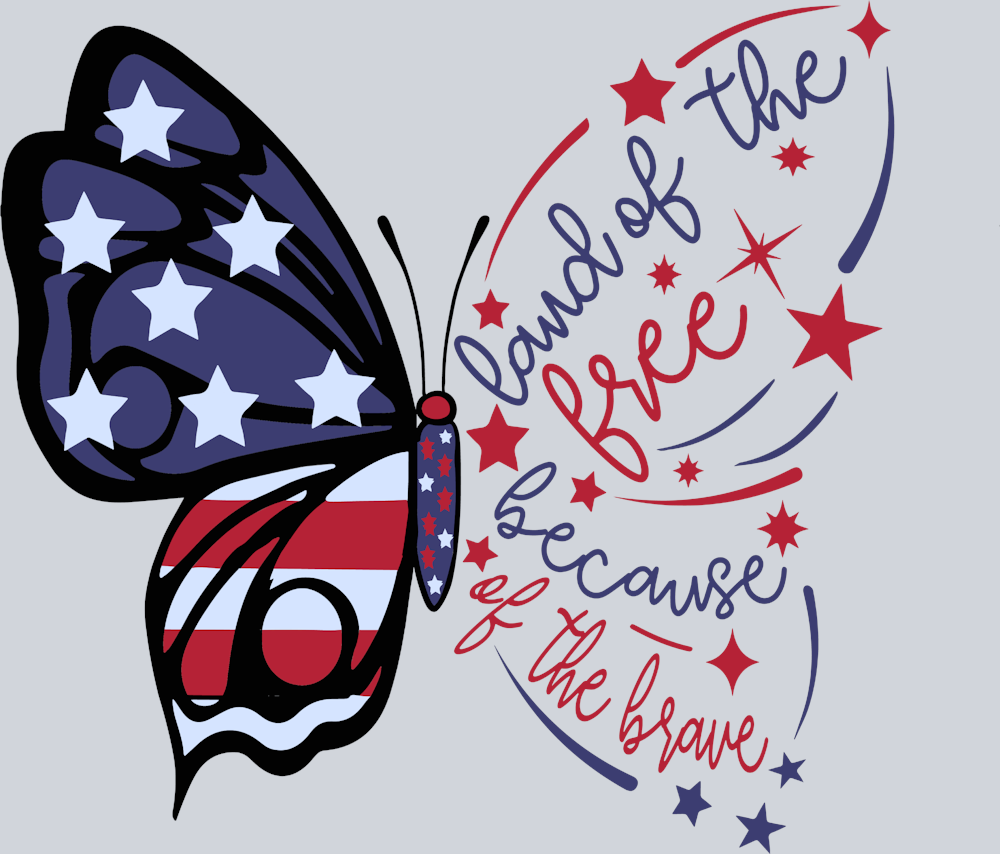 Land Of The Free Because Of The Brave 3 - STK03523