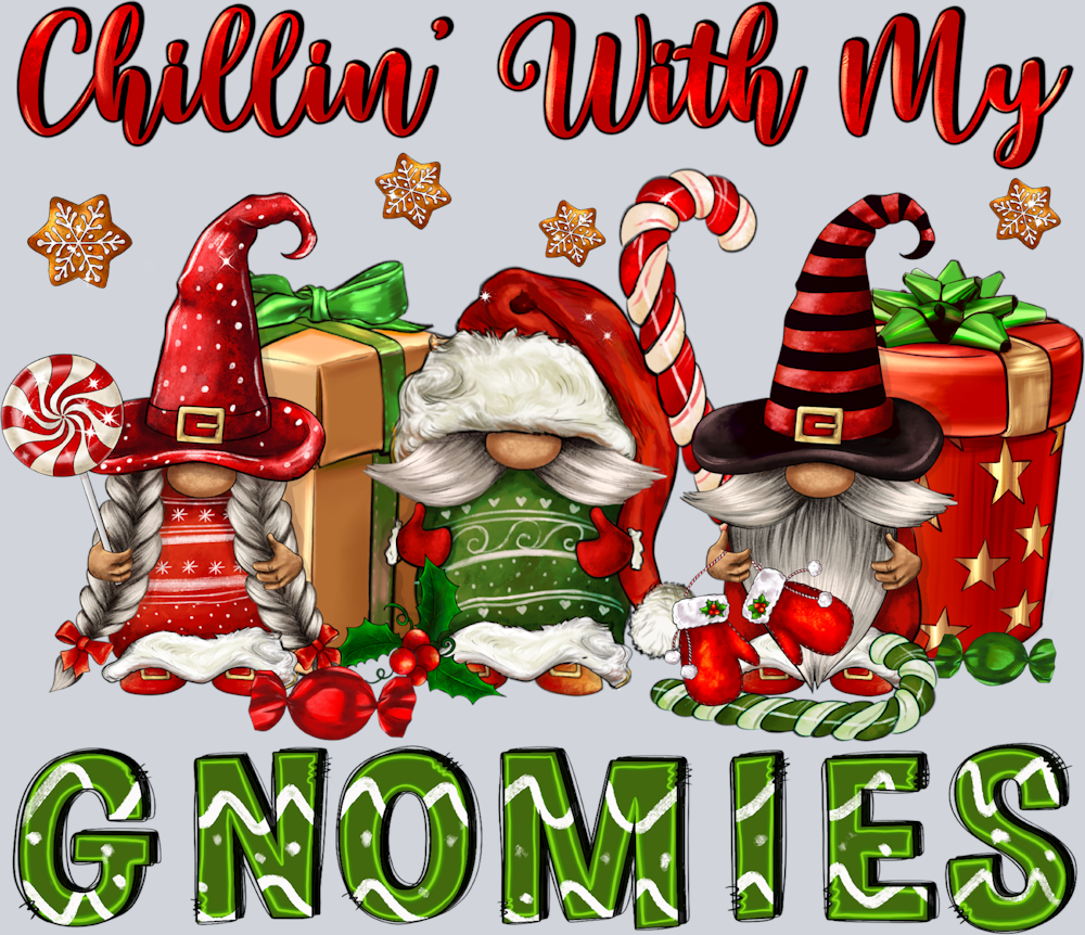 Chillin With My Gnomies - STK01260