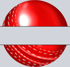 Cricket Name Plate - STK01473