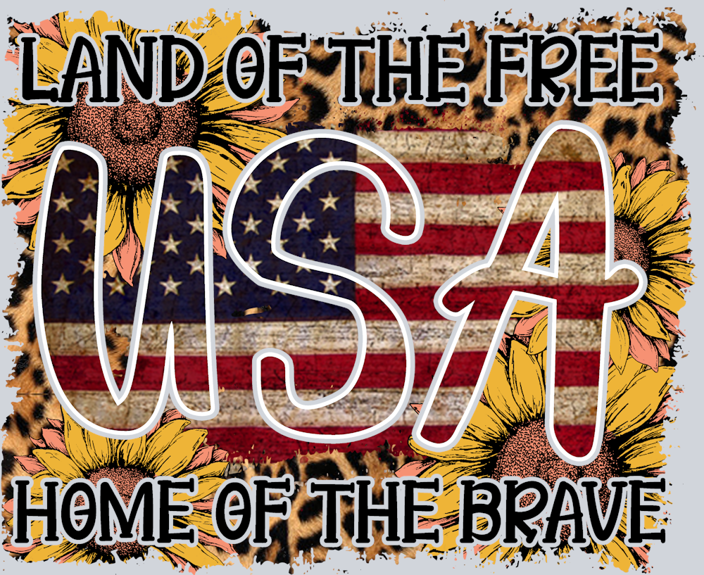 Land Of The Free Home Of The Brave - STK03527