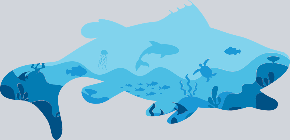 Sports Underwater Bass - STK05748