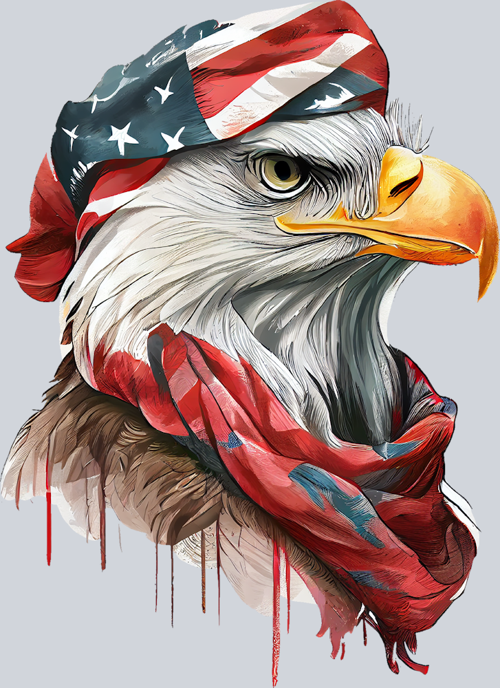 American Eagle 1 - STK00205