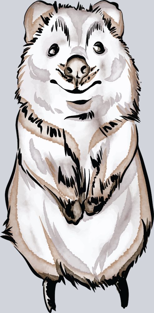 Cute Baby Quokka - STK01519