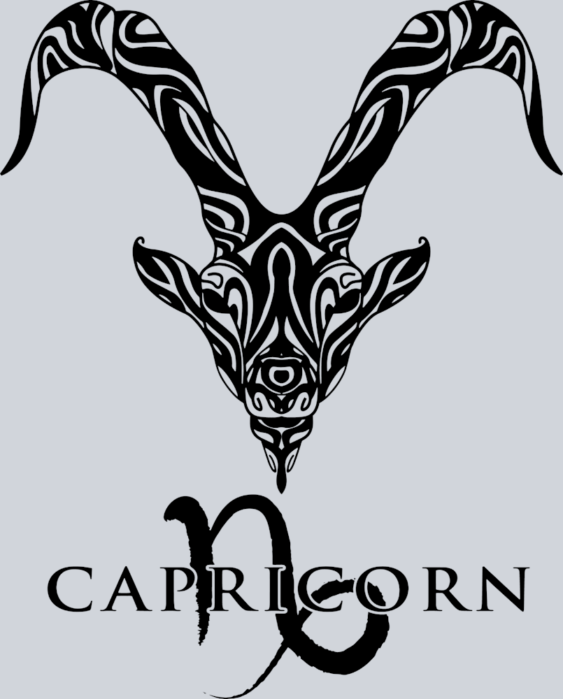 Capricorn 1 - STK01216