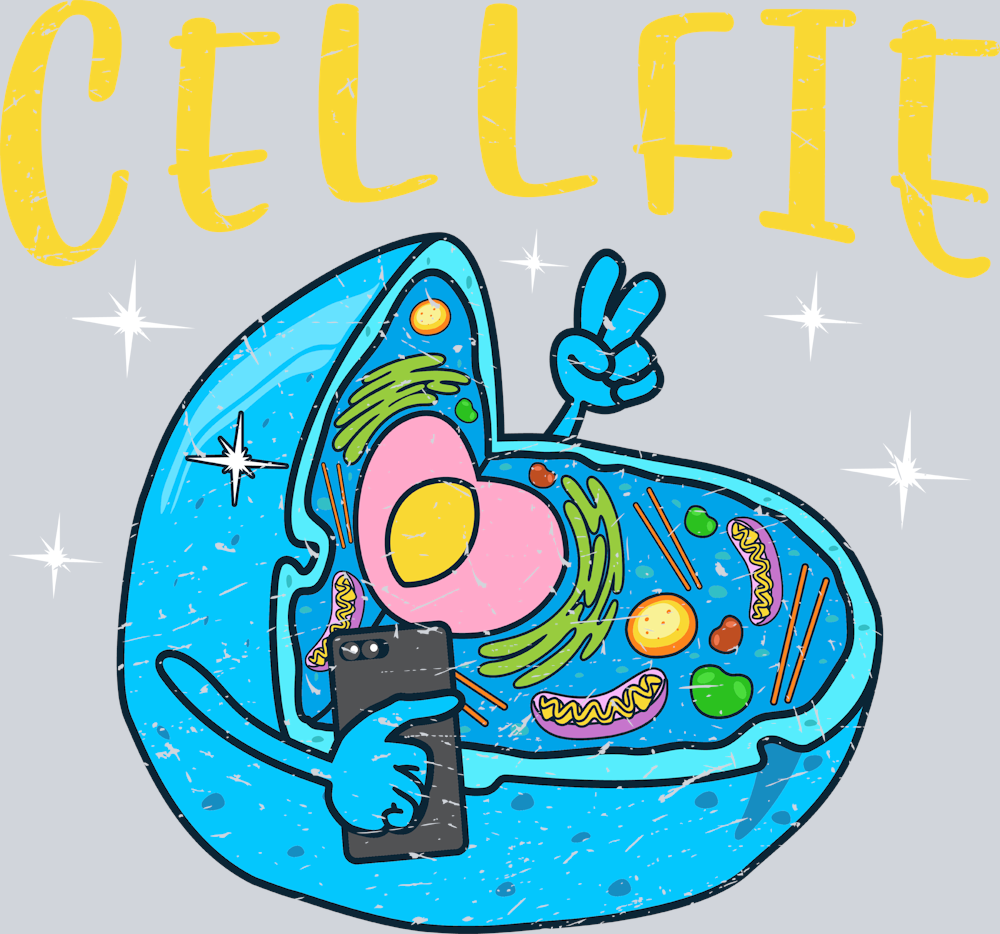 Cellfie - STK01239