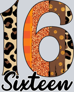 16 Sixteen - STK00024