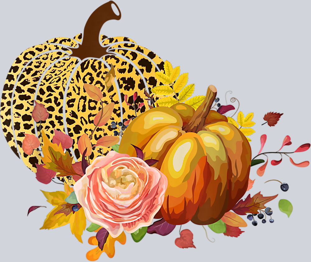 Pumpkins 1 - STK05099