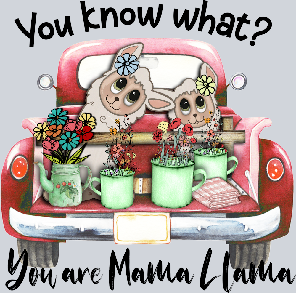 You Know What You Are Mama Llama - STK06593