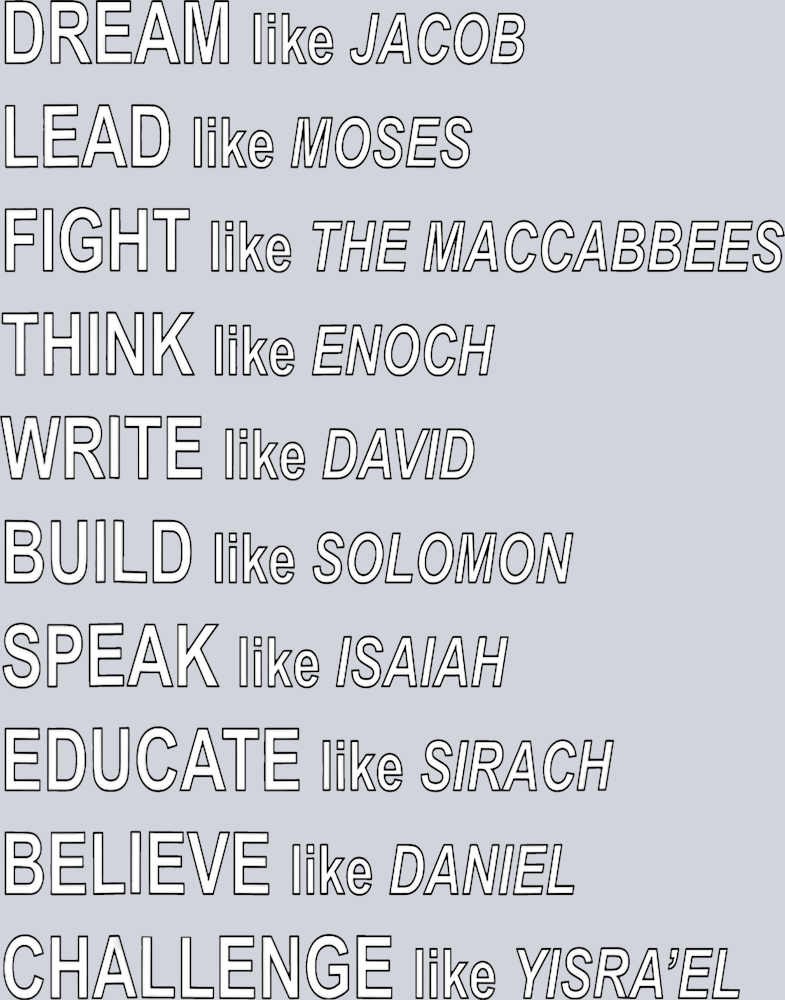 Dream Like Jacob - STK01740