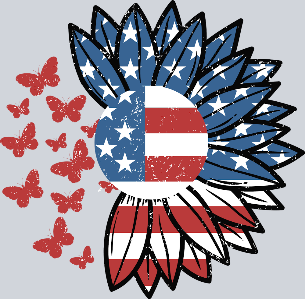 Sunflower Flag Butterflies - STK05878