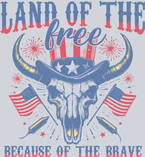 Land Of The Free Because Of The Brave 2 - STK03522