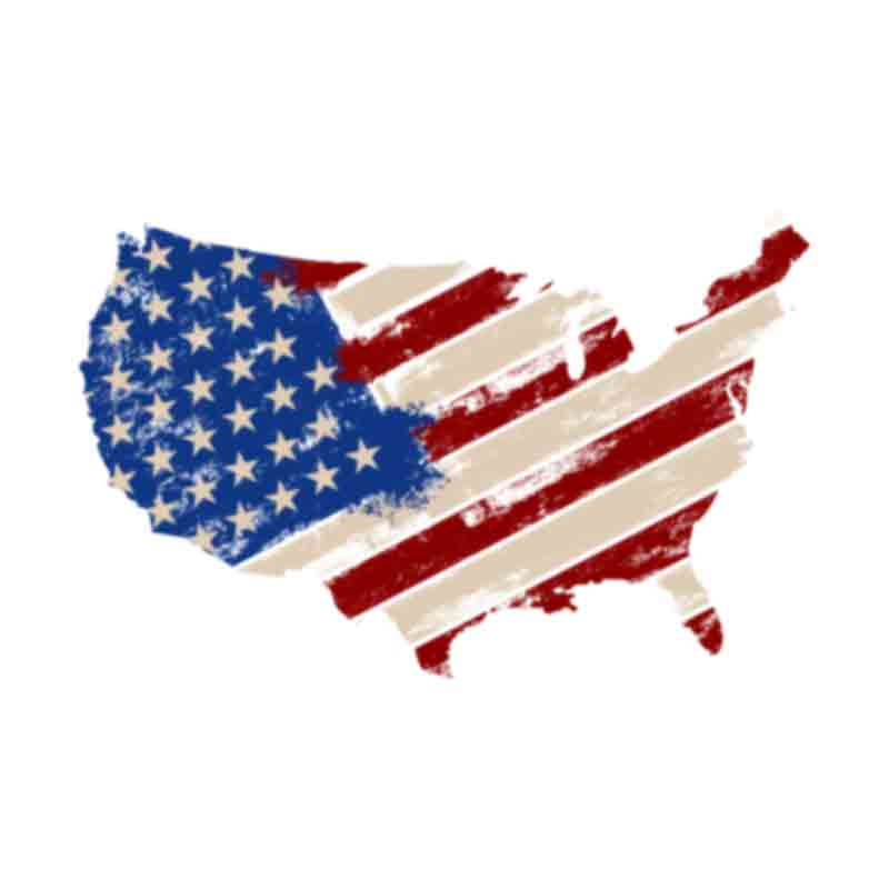 America Flag (DTF Transfer)