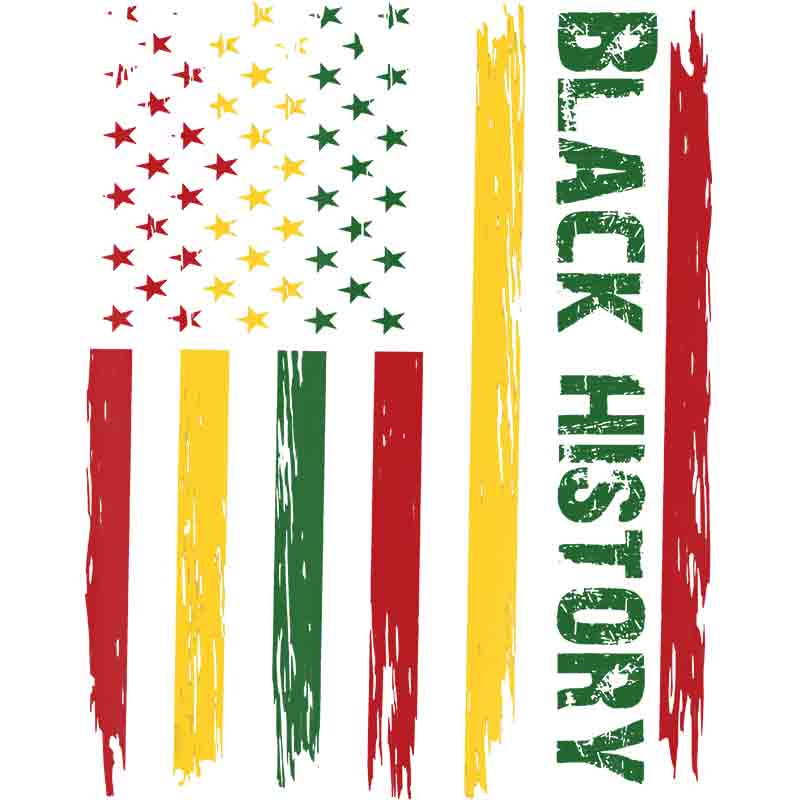 Black History Flag (DTF Transfer)