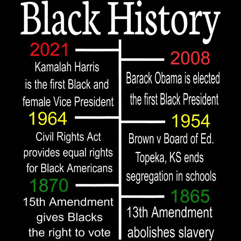 Black History Timeline (DTF Transfer)