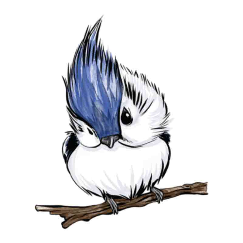 Cute Baby Blue Jay (DTF Transfer)