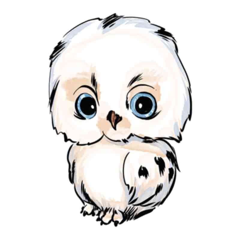 Cute Baby Owl (DTF Transfer)