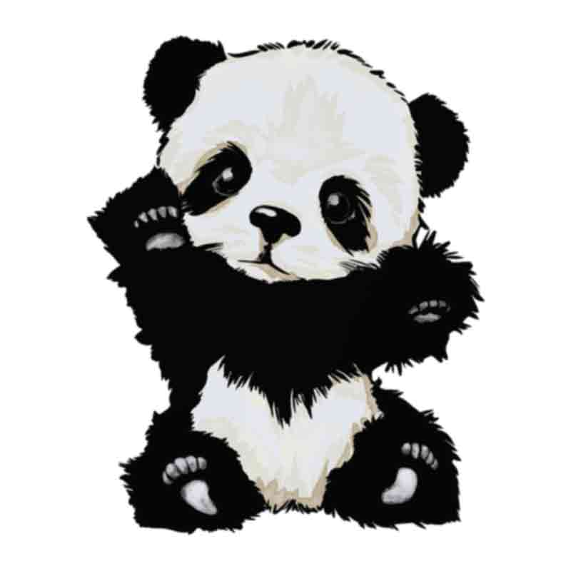 Cute Baby Panda (DTF Transfer)