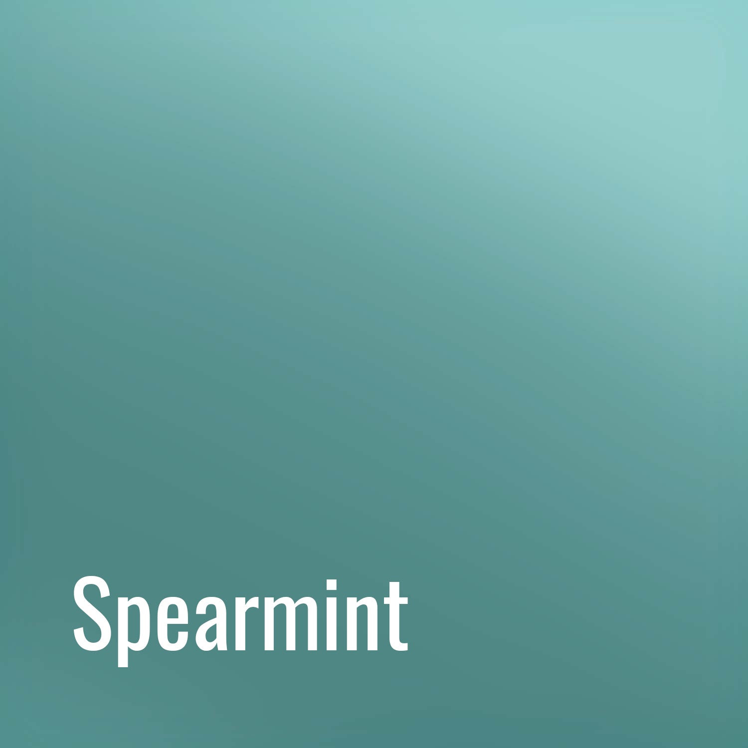 Spearmint EasyWeed Electric Heat Transfer Vinyl (HTV)