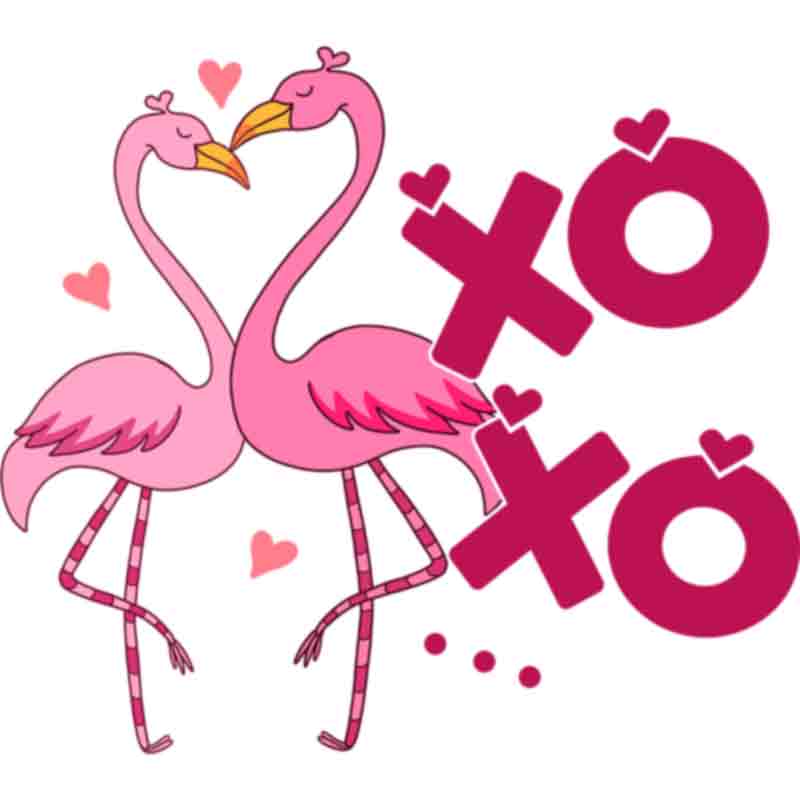 XOXO Flamingo (DTF Transfer)