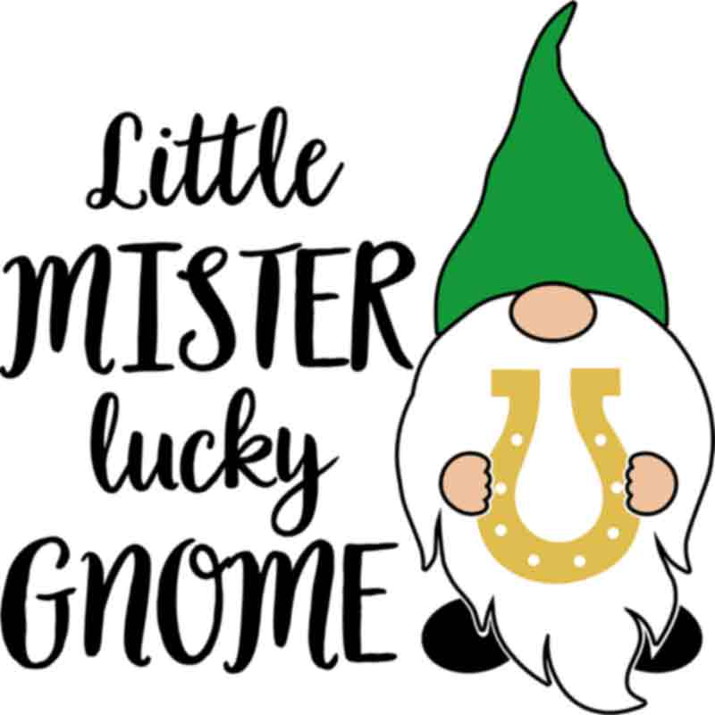 Gnome Little Mister (DTF Transfer)