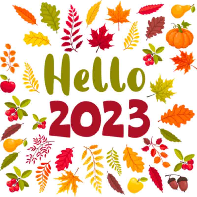Hello 2023 Leaves (DTF Transfer)