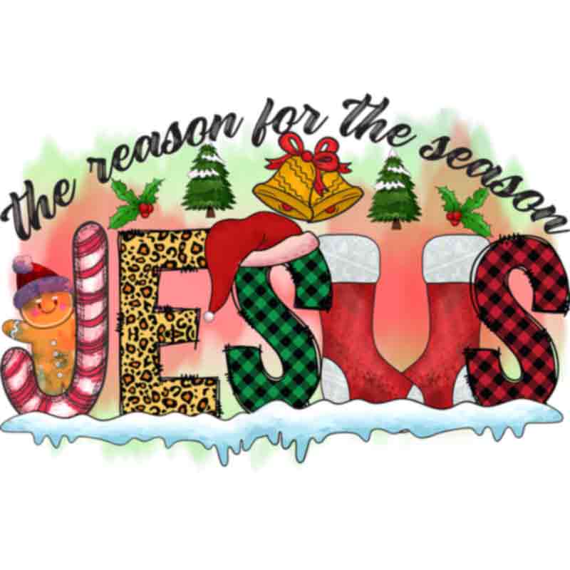 Jesus Reason for Season(DTF Transfer)