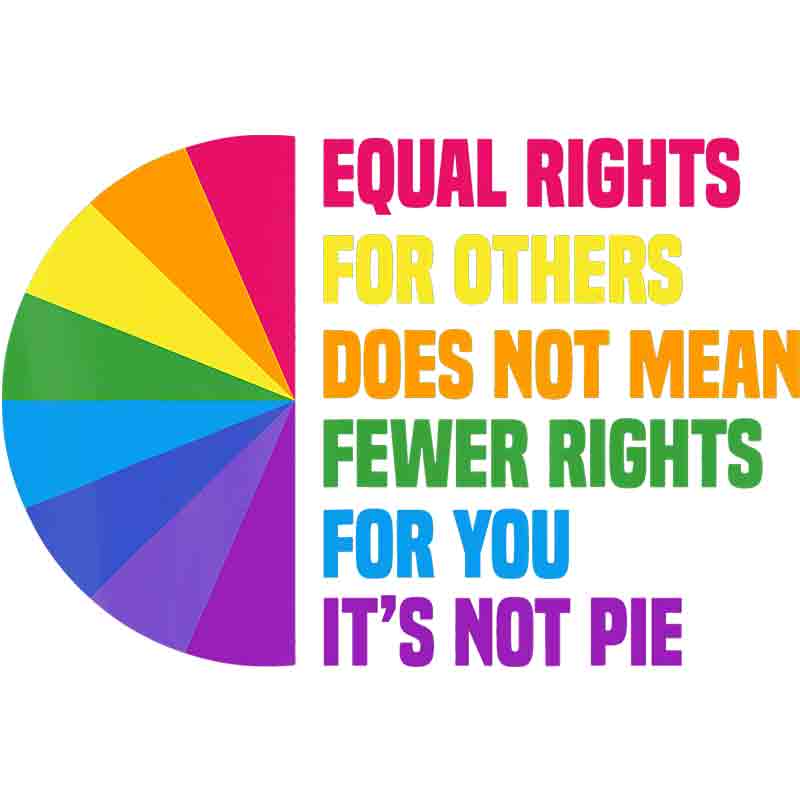 Equal Rights For Others Does Not Mean Fever Rights For You It's Not Pie 12 (DTF Transfer)