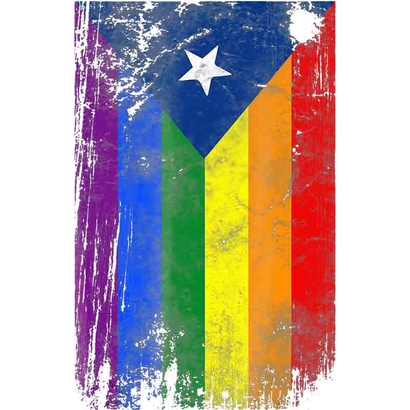 Puerto Rico Pride Flag 352 (DTF Transfer)