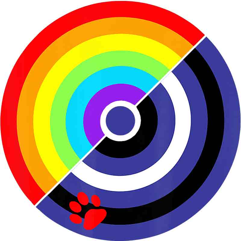 Rainbow Circle 360 (DTF Transfer)