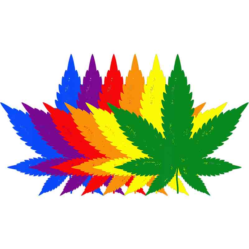Marijuana/Cannabis Leaf 590 (DTF Transfer)